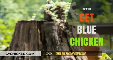 Discover the Secret to Raising Vibrant Blue Chickens Naturally
