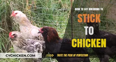 Mastering the Art of Breeding: Tips for Successful Chicken Mating