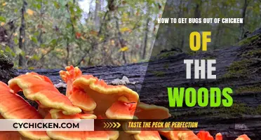 Effective Tips to Remove Bugs from Chicken of the Woods