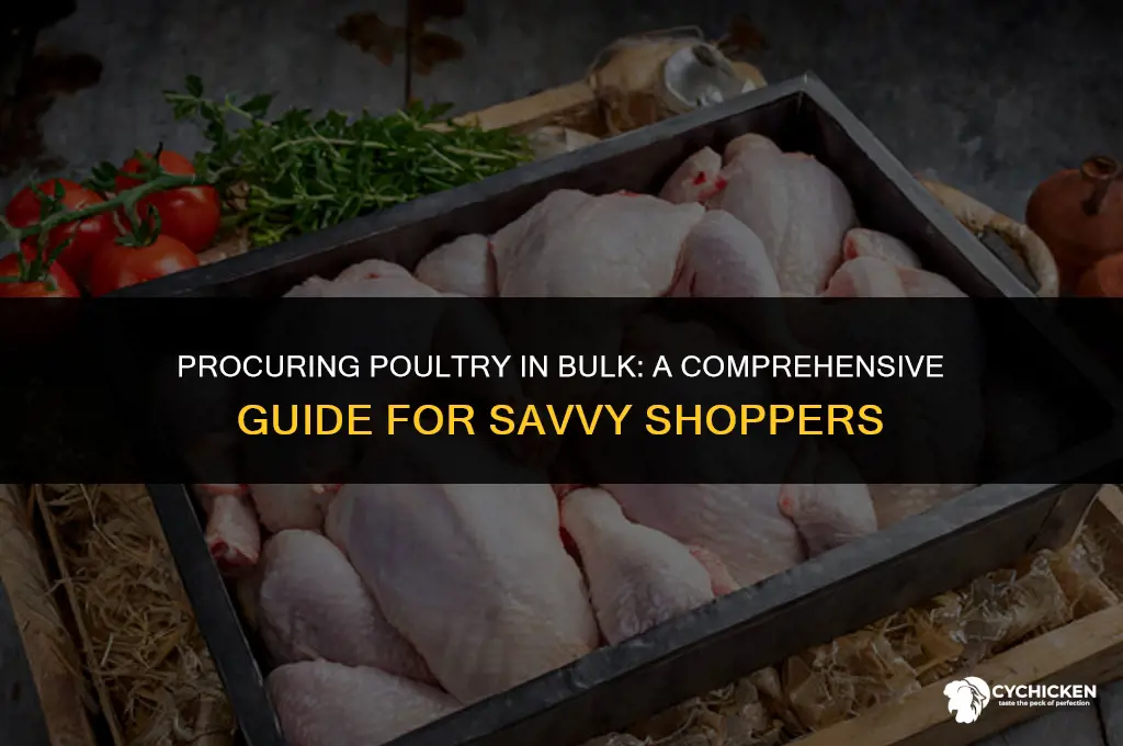 how to get bulk chicken