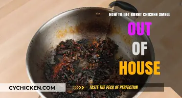 Banishing Burnt Chicken Odor: A Comprehensive Guide for Freshening Your Home