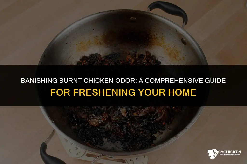 how to get burnt chicken smell out of house
