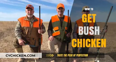 Savor the Wild: A Guide to Hunting and Cooking Bush Chicken