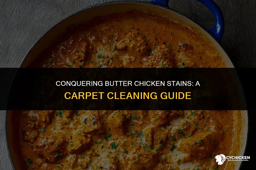 how to get butter chicken stain out of carpet