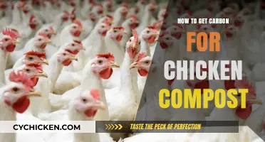 Sustainable Gardening: Sourcing Carbon for Your Chicken Compost