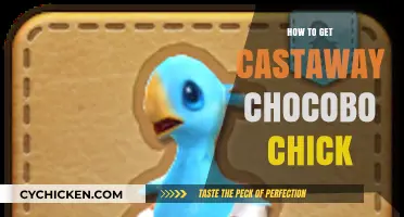 Unlocking the Secrets: How to Obtain a Castaway Chocobo Chick