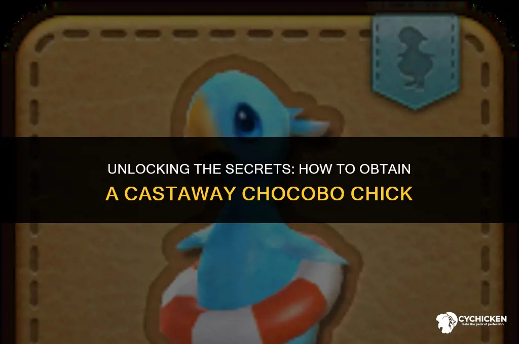 how to get castaway chocobo chick