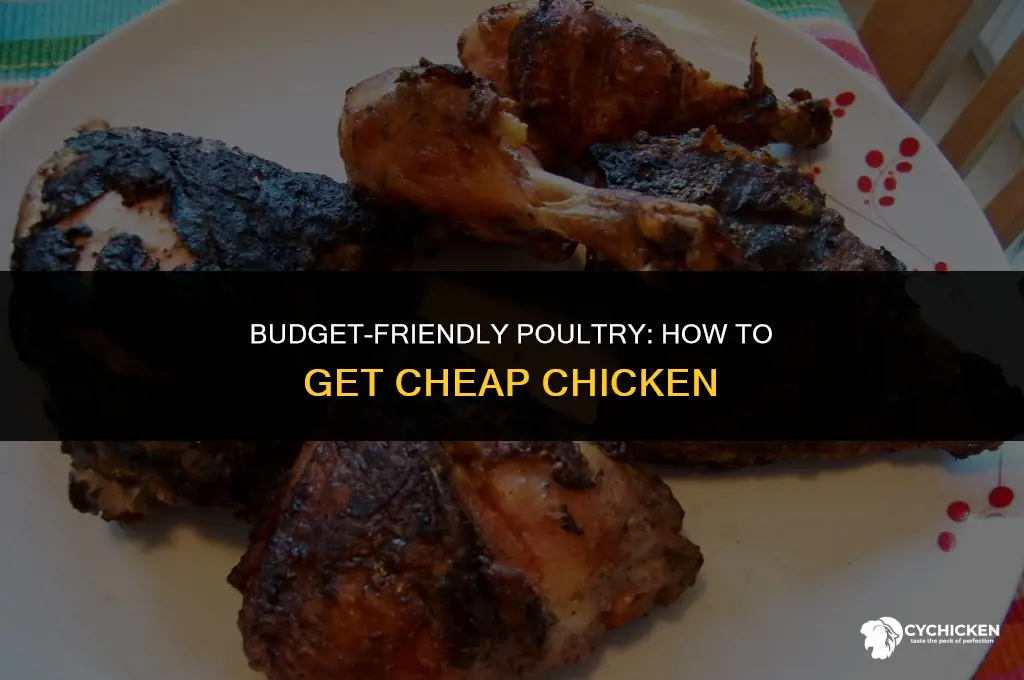 how to get cheap chicken