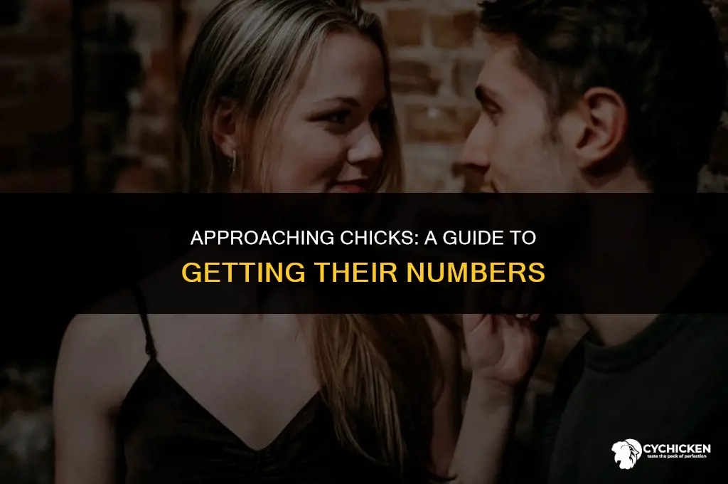 how to get chick number