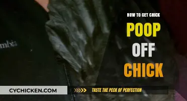 Effective Ways to Clean Chicken Droppings from Your Chicks