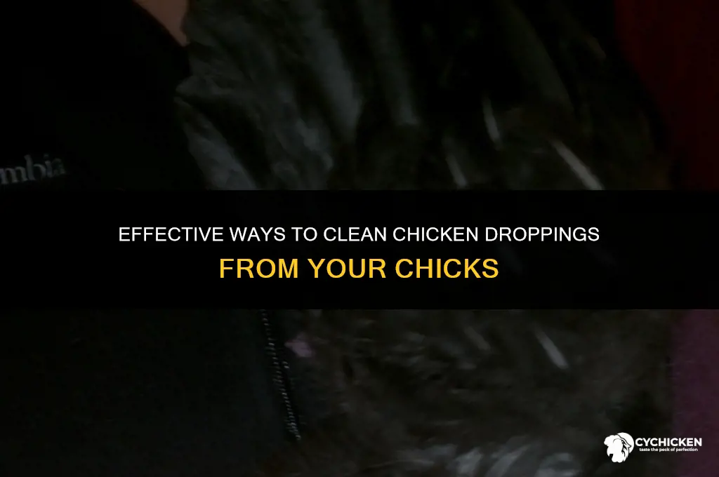 how to get chick poop off chick