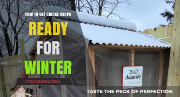 Winterizing Your Chicken Coop: A Comprehensive Guide