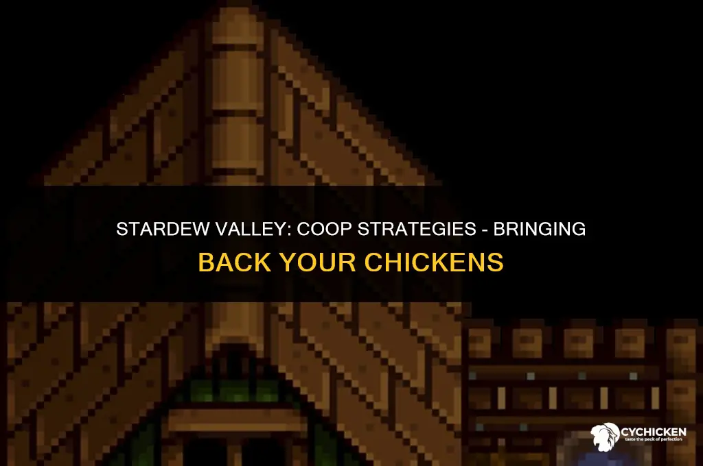 how to get chicken back in coop stardew vallye