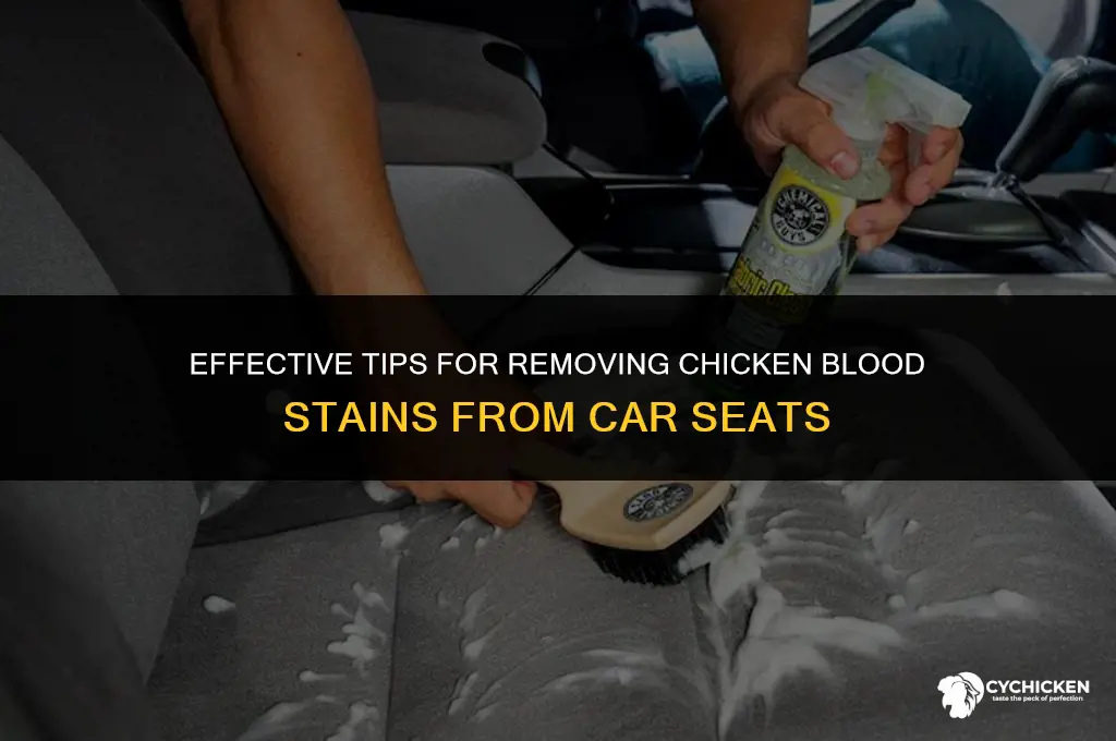 how to get chicken blood out of a car seat
