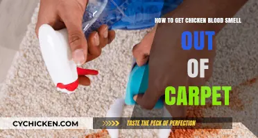 Effective Methods to Eliminate Chicken Blood Odor from Carpets