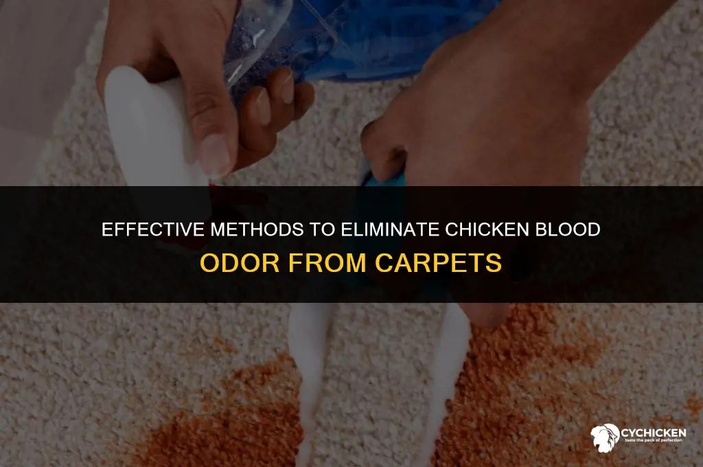 how to get chicken blood smell out of carpet