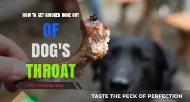 Safely Removing Chicken Bones from Your Dog's Throat: A Guide