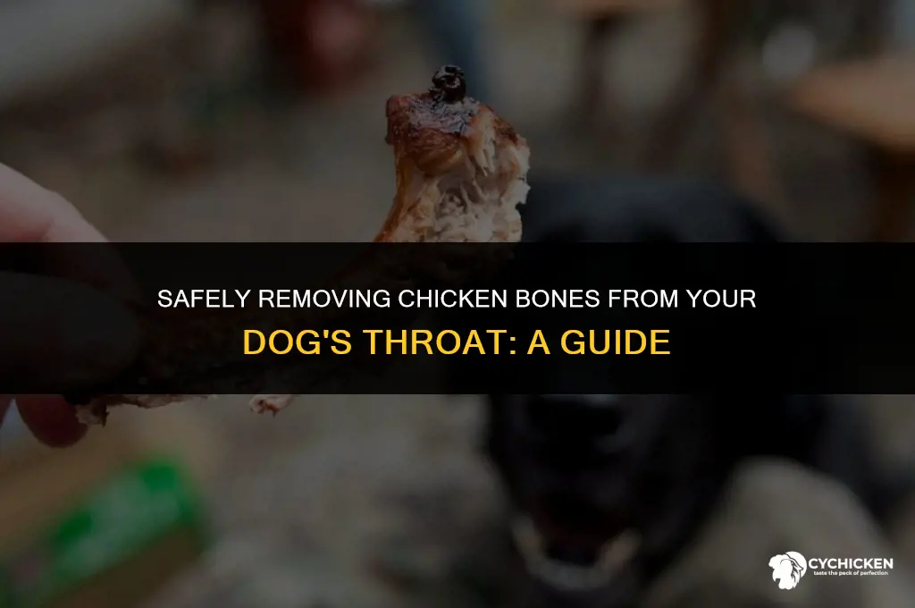 how to get chicken bone out of dog