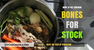 Simmering Success: A Guide to Sourcing Chicken Bones for Stock