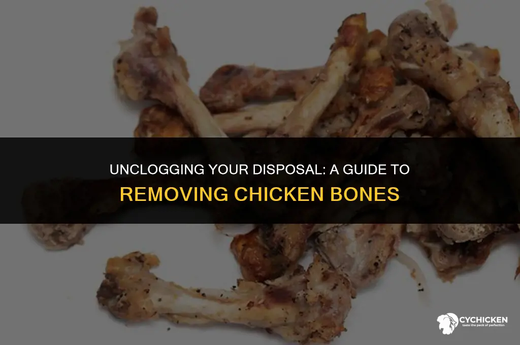 how to get chicken bones out of the disposal