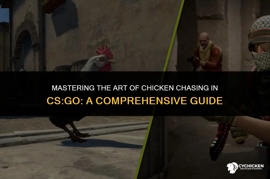 how to get chicken chaser cs go