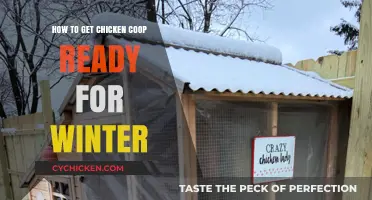 Winterizing Your Chicken Coop: A Comprehensive Guide