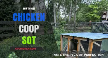Building the Perfect Chicken Coop: Tips for Optimal Soil Conditions