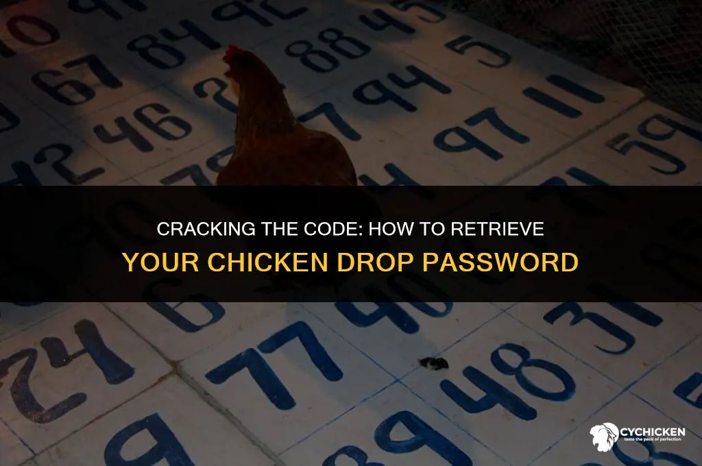 how to get chicken drop password