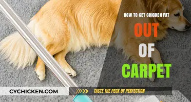 Effective Methods to Remove Chicken Fat Stains from Carpet
