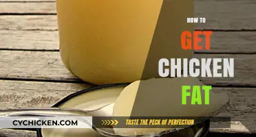 Rendering Chicken Fat: A Simple Guide to Homemade Poultry Gold
