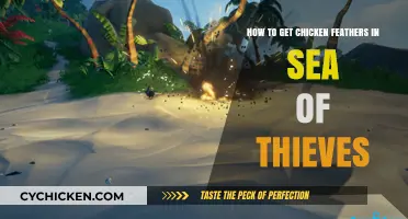 Unlocking the Secrets: How to Obtain Chicken Feathers in Sea of Thieves