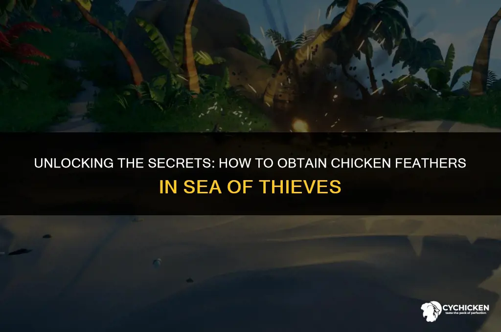 how to get chicken feathers in sea of thieves