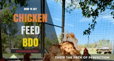 Sustainable Chicken Feed Solutions: A Beginner's Guide to BDO Farming