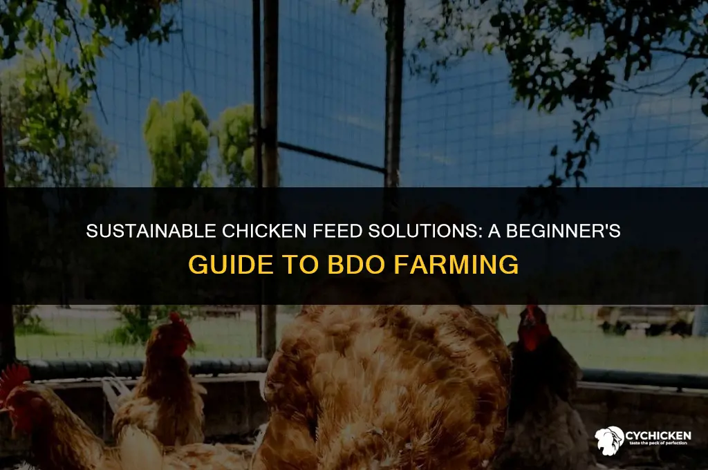 how to get chicken feed bdo