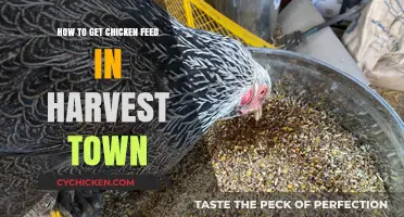 Sustainable Feeding: Sourcing Chicken Feed in Harvest Town