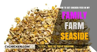 Sustainable Seaside Farming: Sourcing Quality Chicken Feed for Your Family Farm