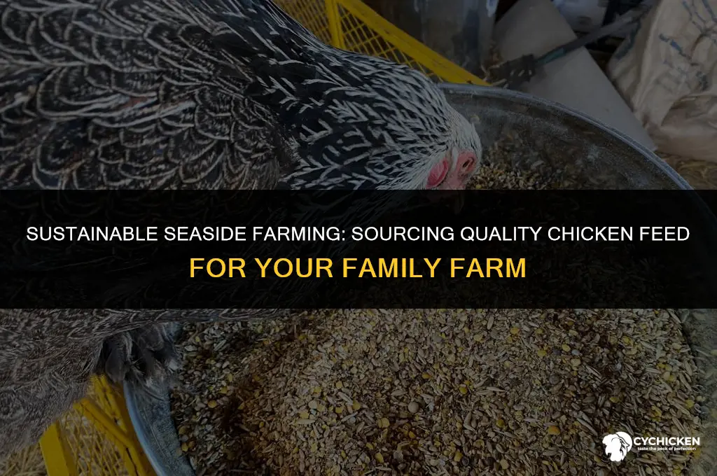 how to get chicken feed in my family farm seaside