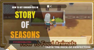 Sustainable Farming: Sourcing Chicken Feed in Story of Seasons