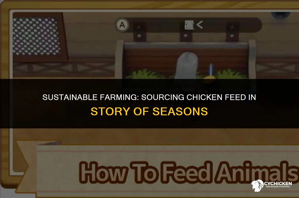 how to get chicken feed in story of seasons