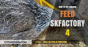 Sustainable Chicken Feed Production: A Guide for Small-Scale Farmers