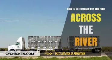 Strategic Guide to Transporting Chicken Feed Across the River