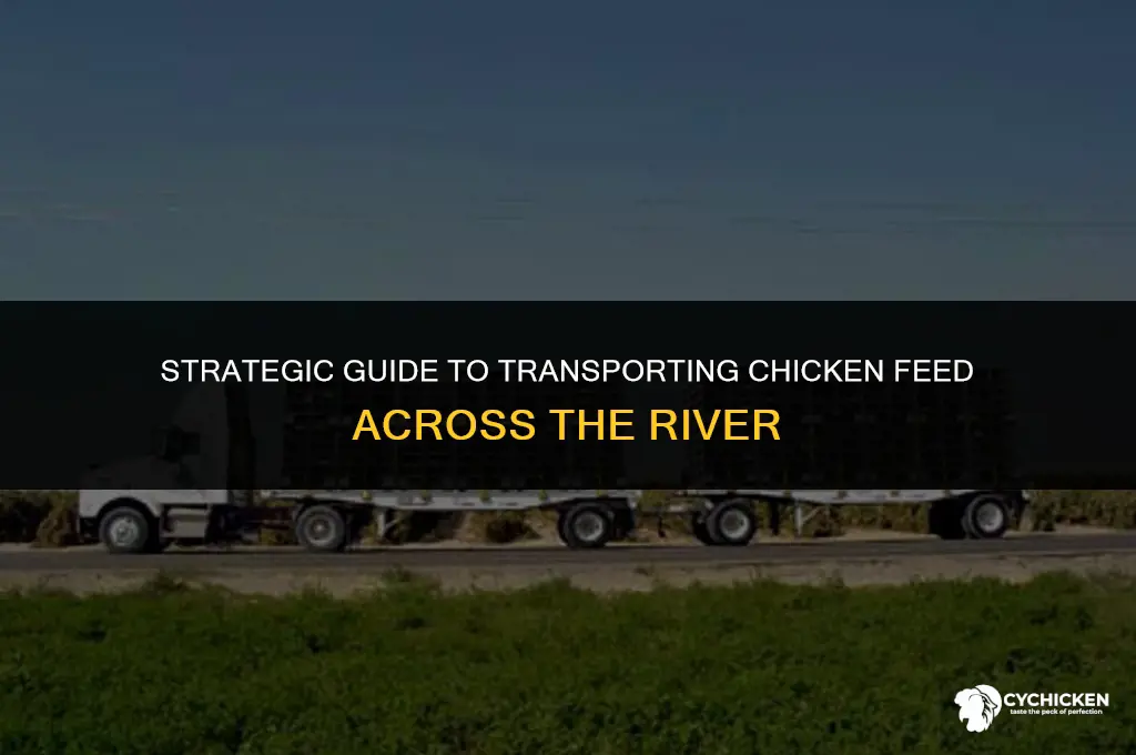 how to get chicken fox and feed across the river