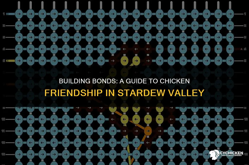 how to get chicken friendship stardew