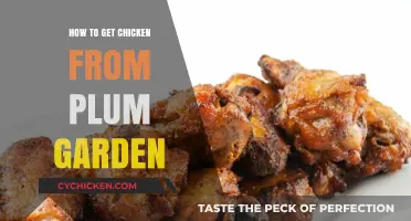 Harvesting Chicken from Plum Garden: A Beginner's Guide