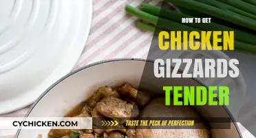 Mastering the Art of Tender Chicken Gizzards: A Culinary Guide
