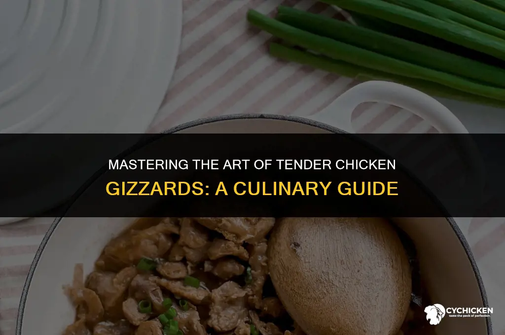 how to get chicken gizzards tender