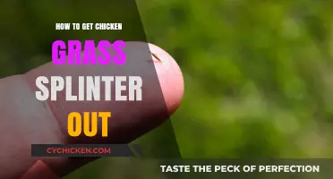 Safely Removing Chicken Grass Splinters: A Step-by-Step Guide