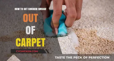 Effective Methods to Remove Chicken Grease Stains from Carpet