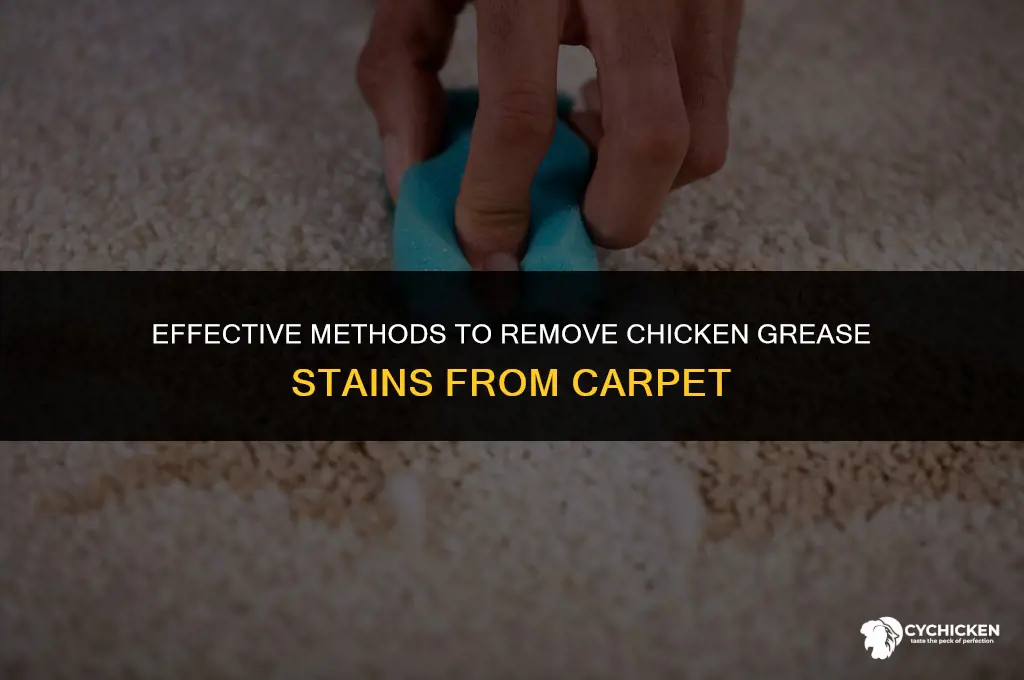 how to get chicken grease out of carpet