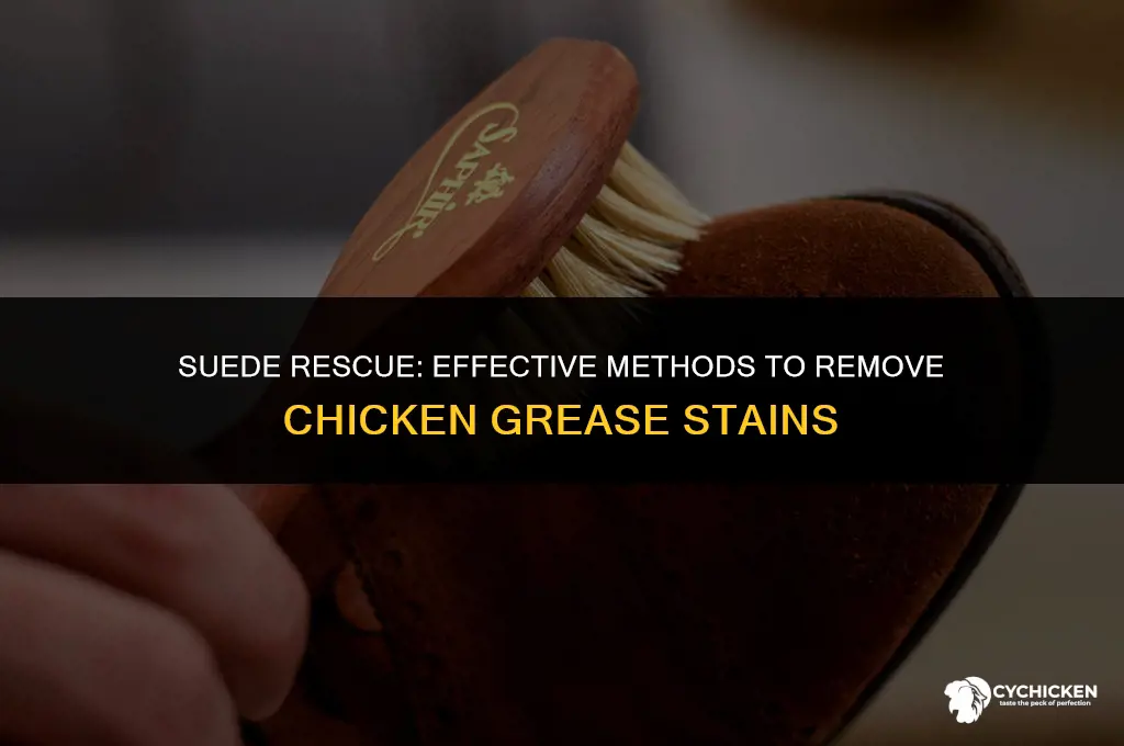 how to get chicken grease out of suede shoes